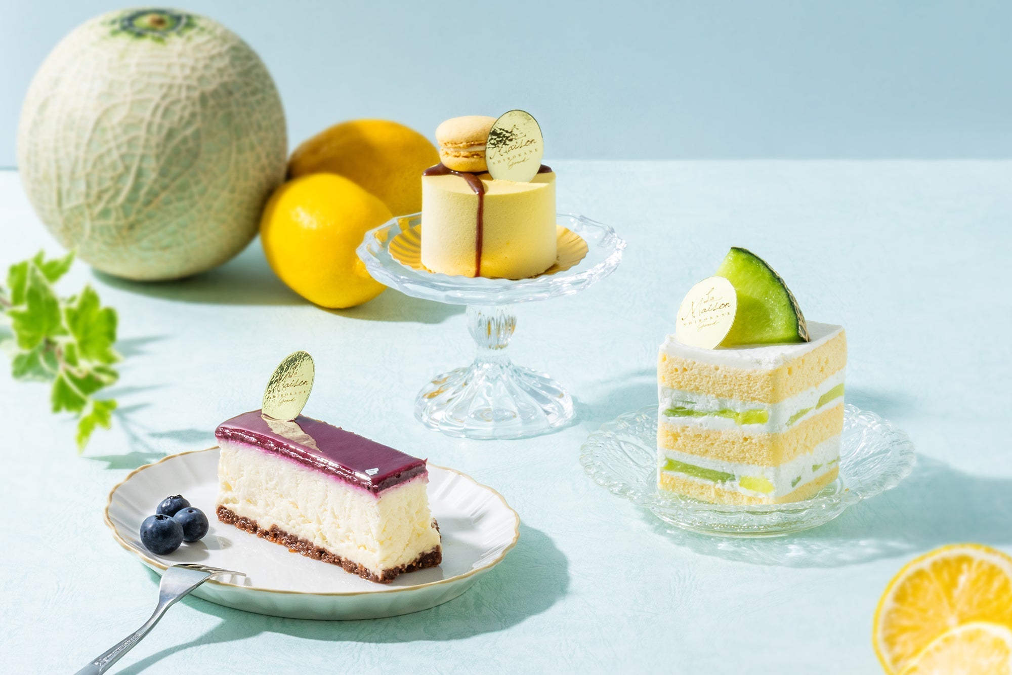 初夏のご褒美に、みずみずしい季節のケーキが登場！