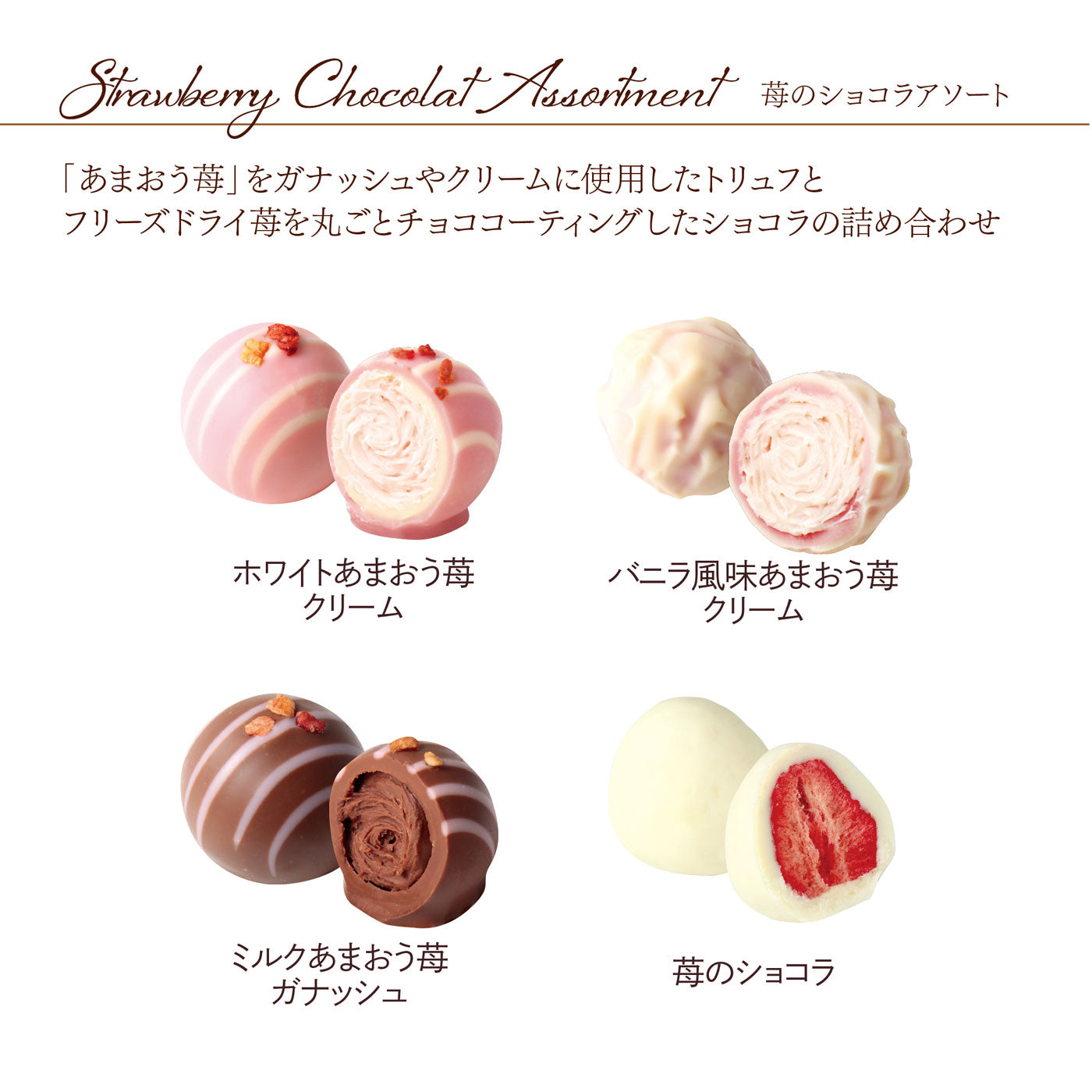 苺のショコラアソート