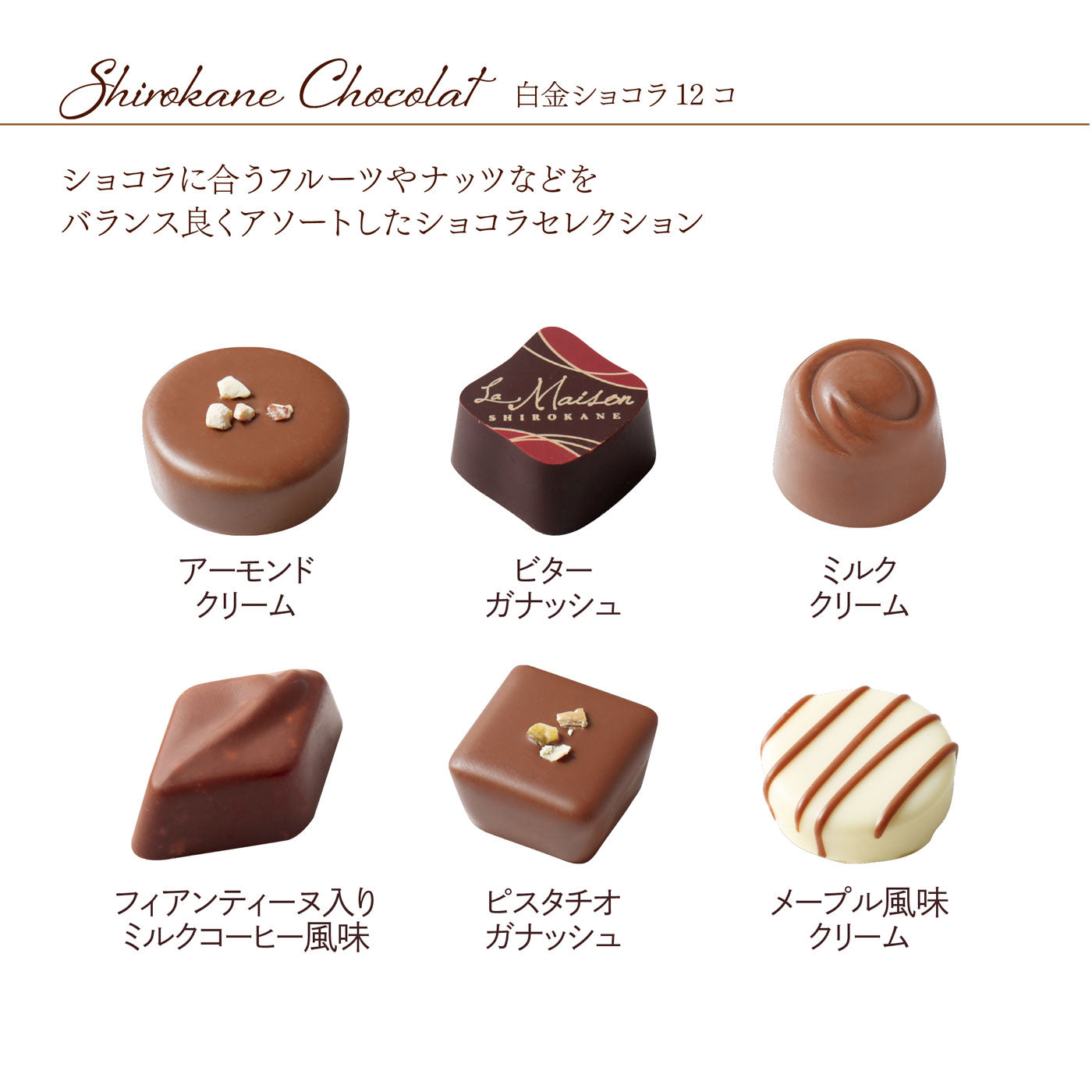 白金ショコラ 12個