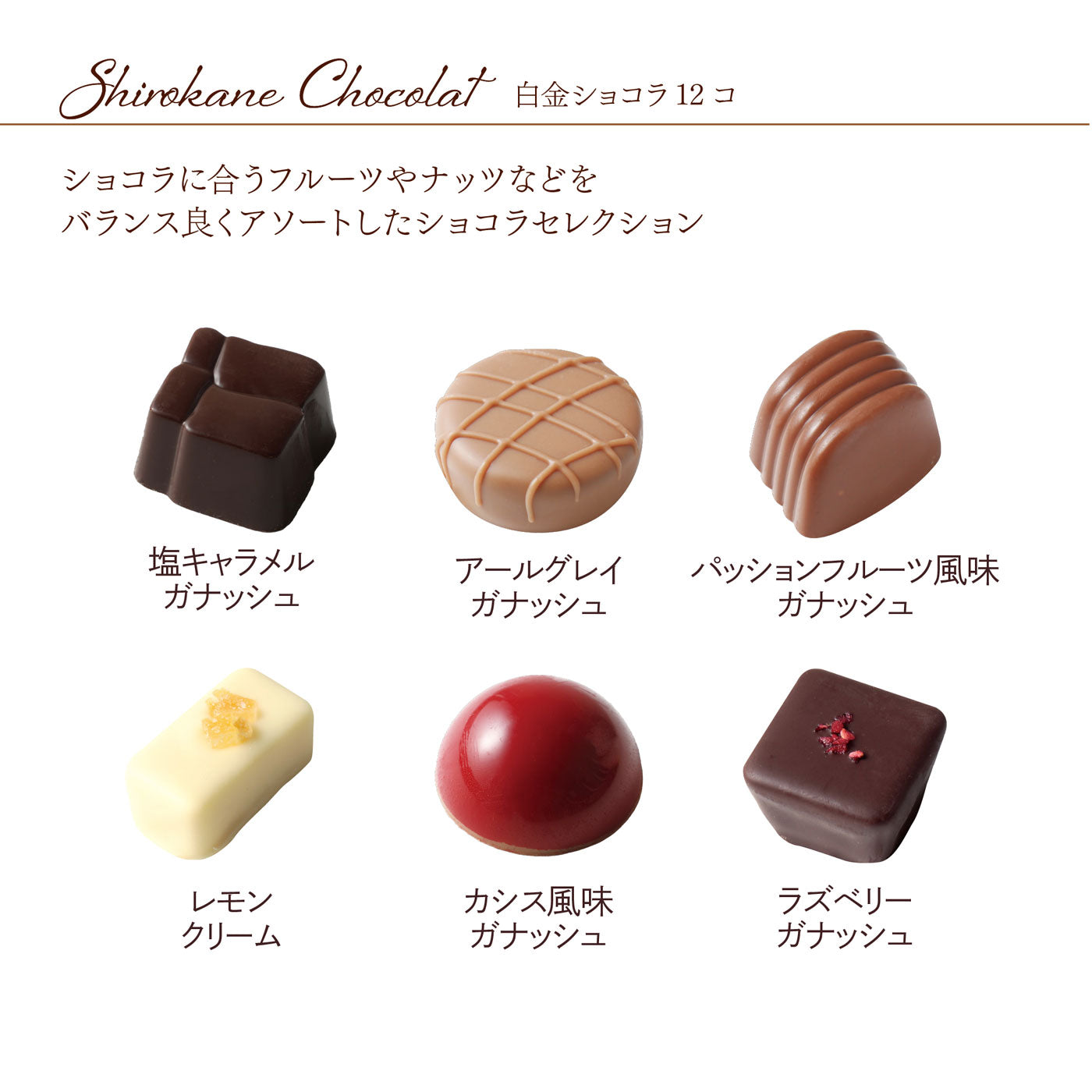 白金ショコラ 12個