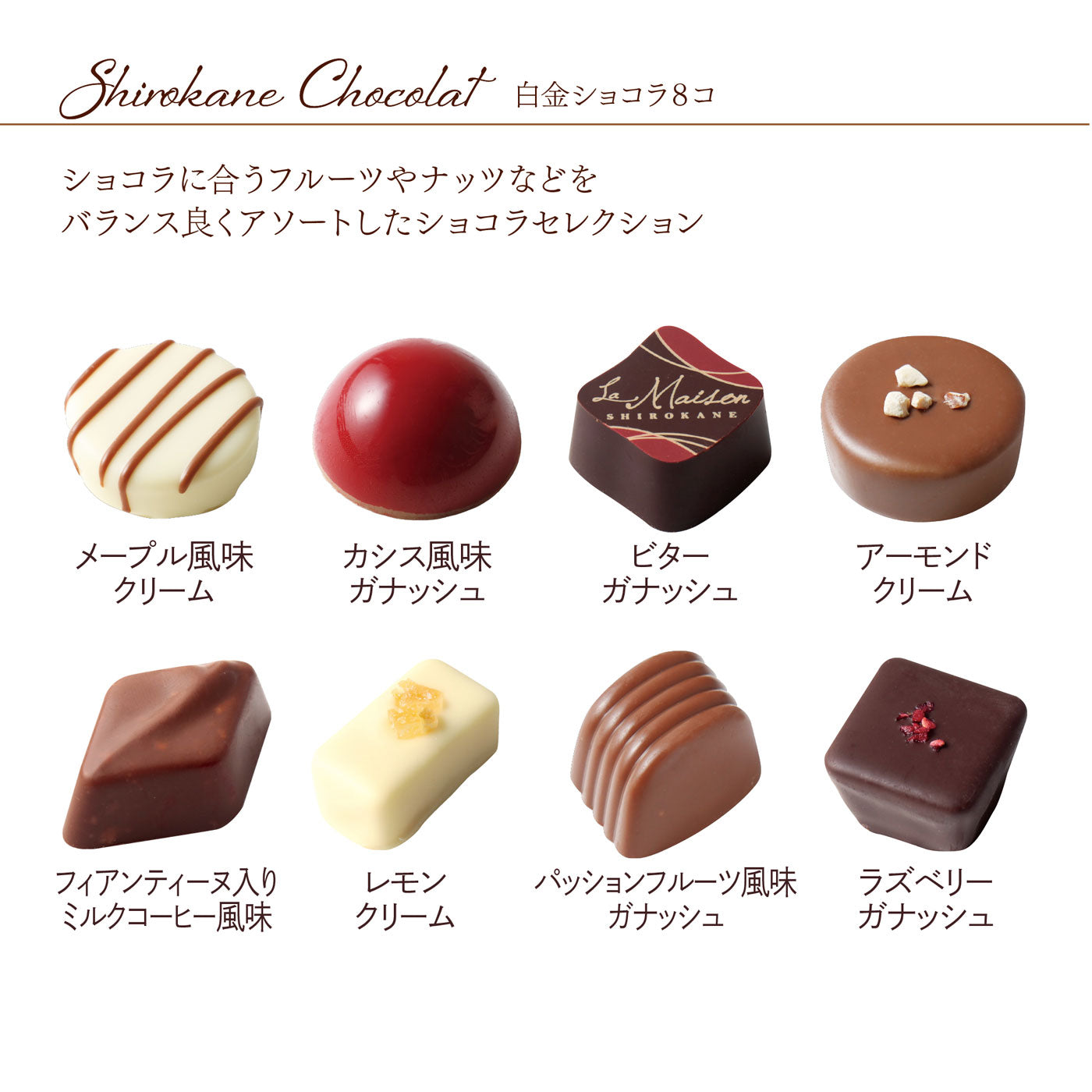 白金ショコラ 8個