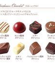 白金ショコラ 8個