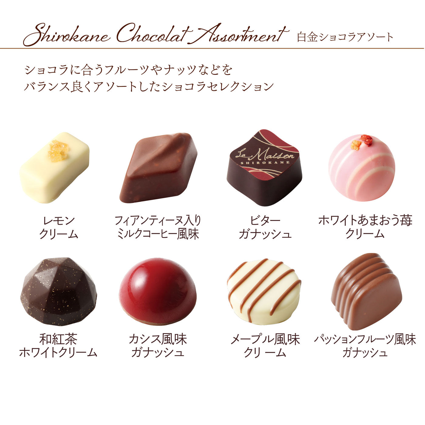 白金ショコラアソート