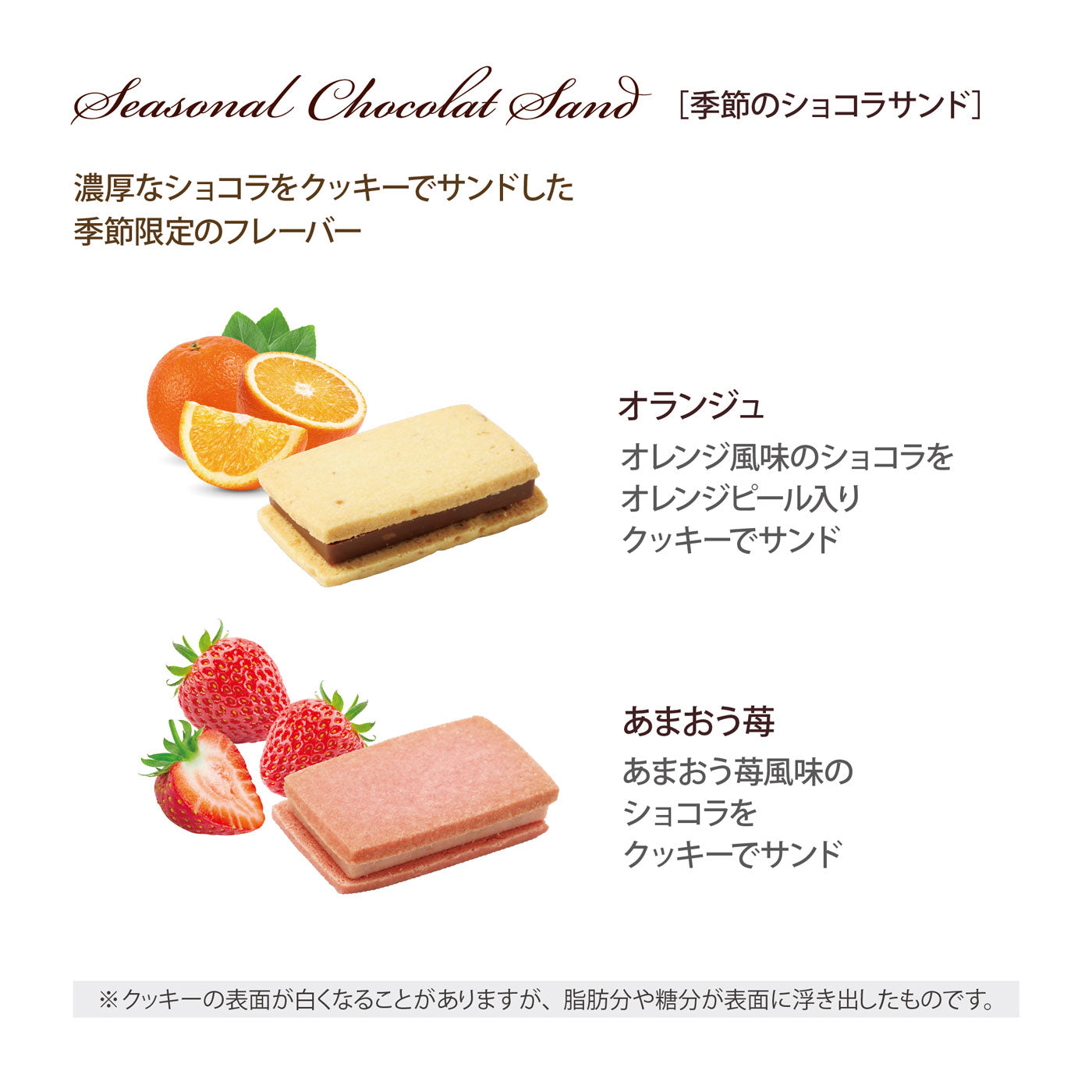 季節のショコラサンド 5個