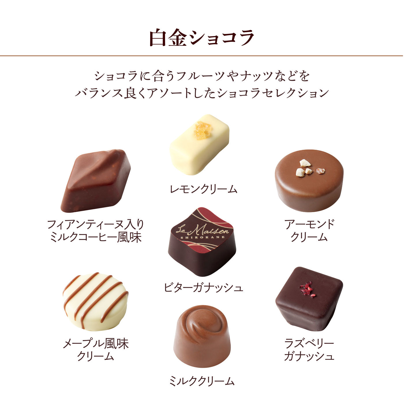白金ショコラ 7個